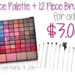 Palette & Brush Set for Only $3!